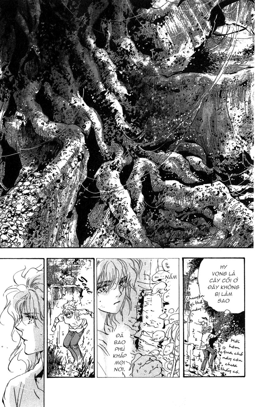 mầm sống chapter 117 10