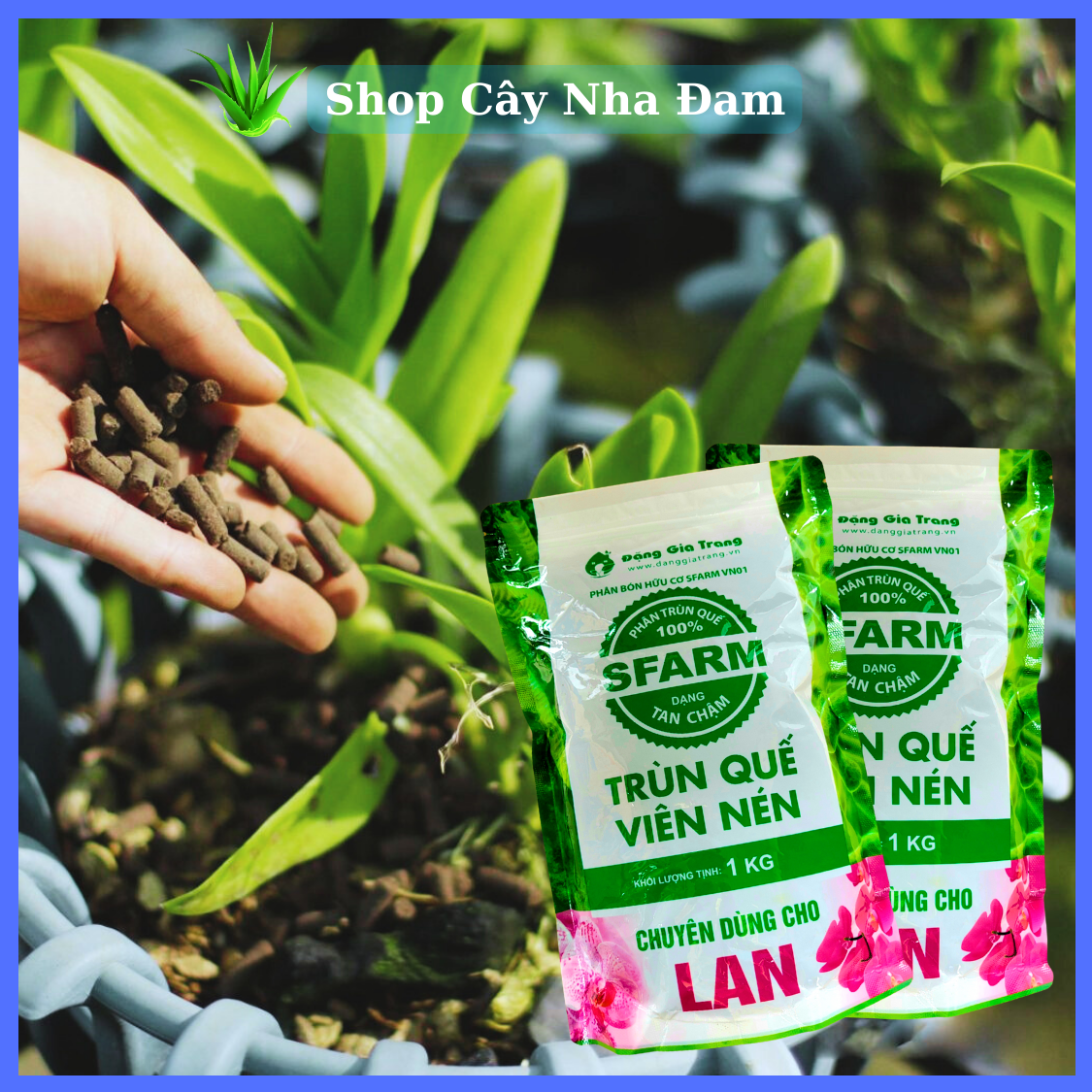 Phân Trùn Quế Viên Nén Tan Chậm Cho Hoa Lan, Hoa Hồng, Mai Vàng, Cây Cảnh, Rau Màu, Cây Ăn Trái, Bon Sai (1Kg)