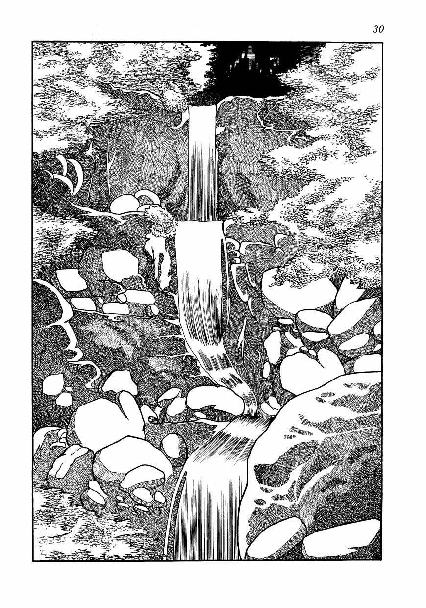 chim lửa chapter 78 7