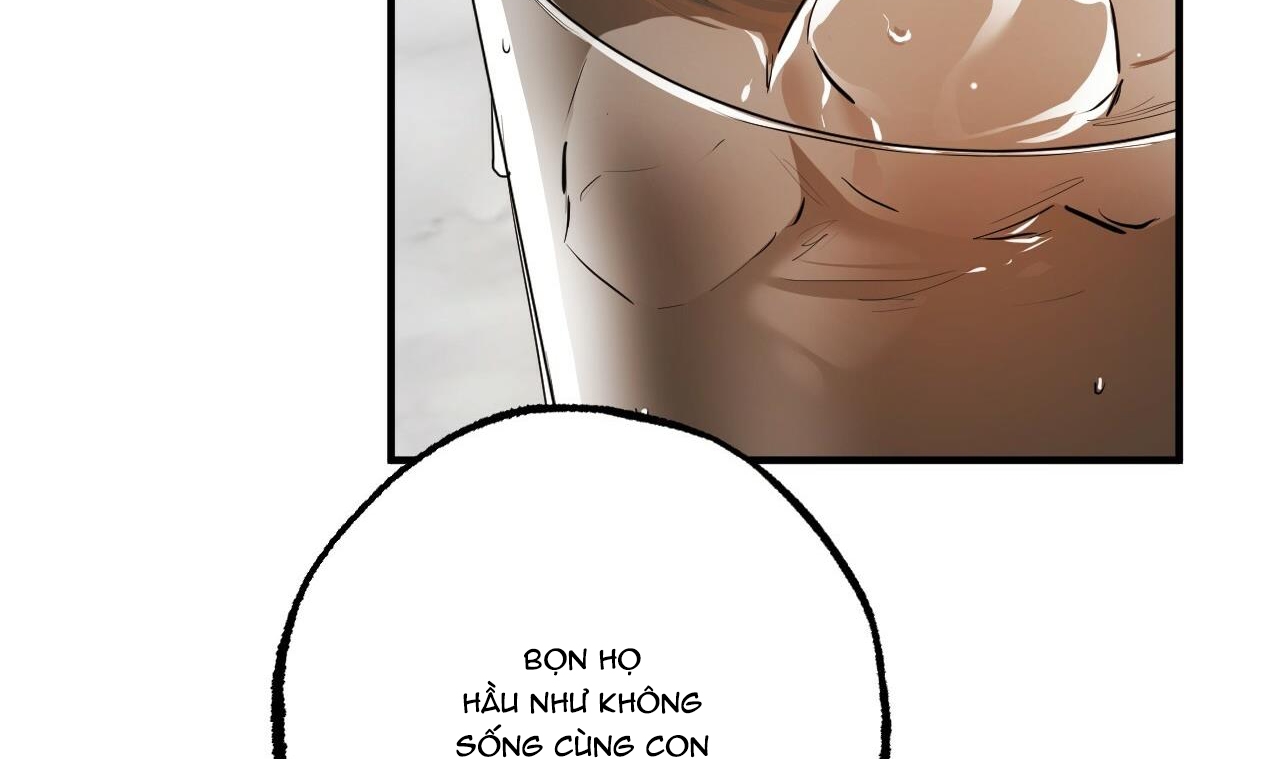 đàn thỏ của habibi chapter 34 148