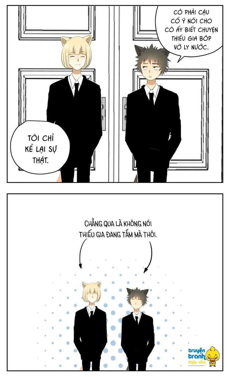 cứu mạng ! loài mèo thống trị thế giới rồi ! chapter 30 15