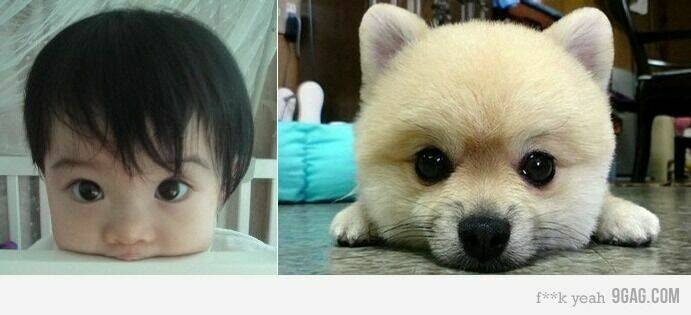 rage comic-troll chapter 52 41