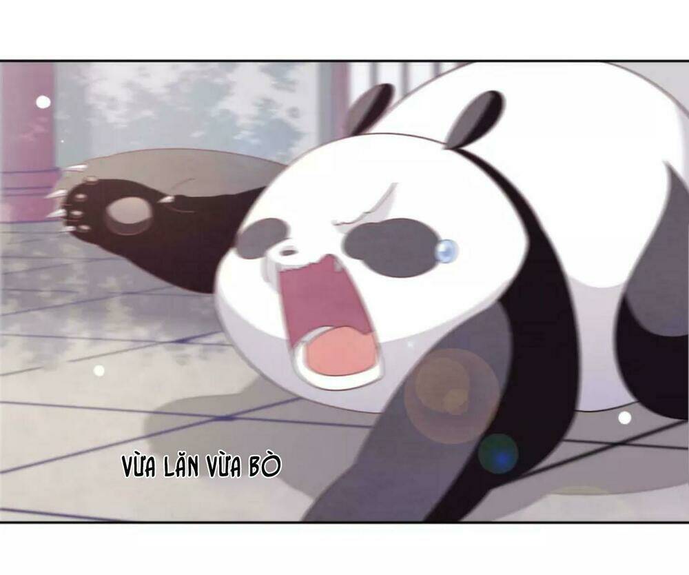 xuyên về cổ đại làm quốc bảo chapter 8 7