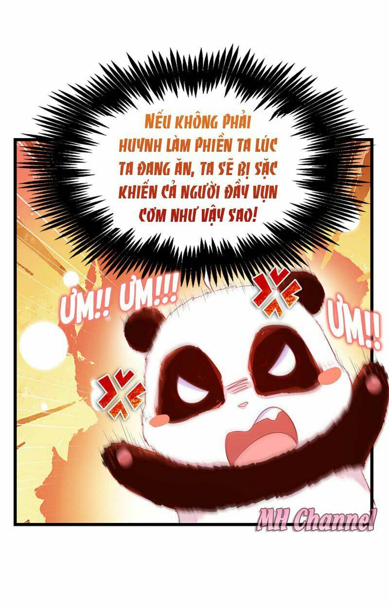 thiên thần gấu trúc muốn được ôm chapter 12 16