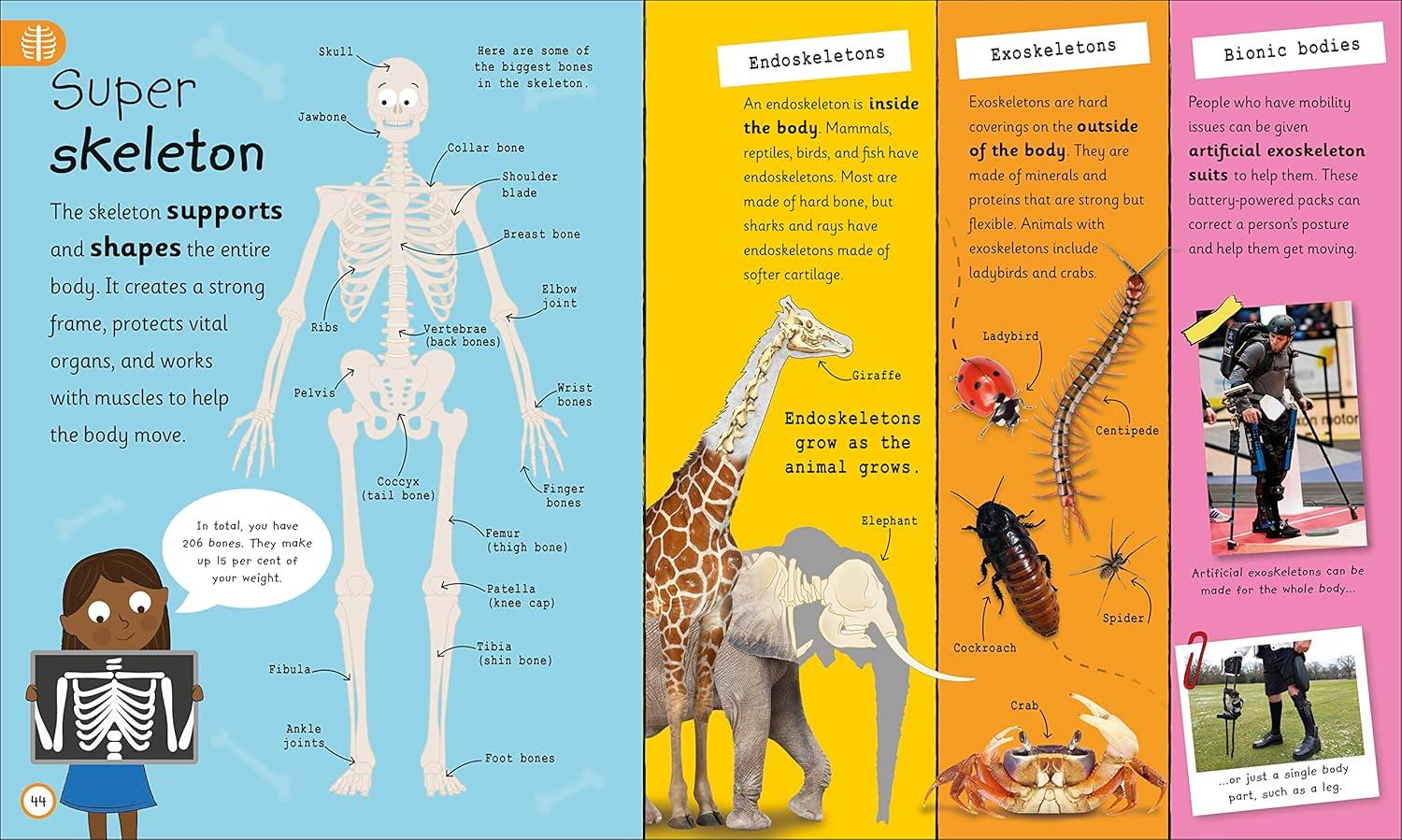 Sách ngoại văn: My Very Important Human Body - Encyclopedias