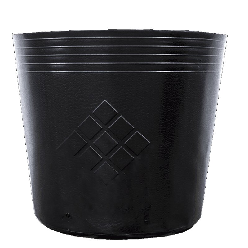 300 Chậu nhựa C9 21.5x17.5cm trồng cây ăn trái và hoa,bền 10 năm -77122