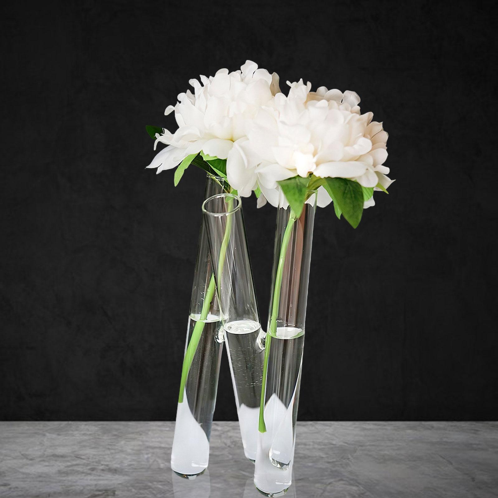 Test Tube Vase with 3 Test Tubes Flower Vase for Housewarming Wedding