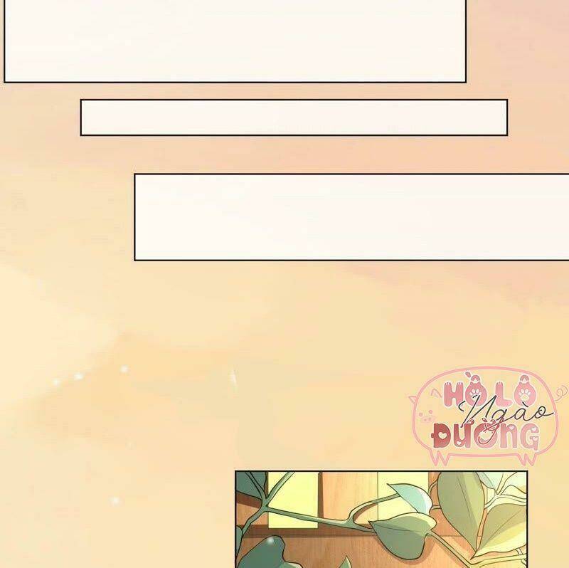 quận chúa vững vàng, thiết lập nhân vật không thể vỡ chapter 47 44