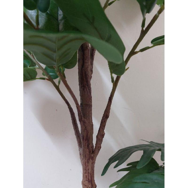 Cây bàng singapo giả cao cấp các kích cỡ