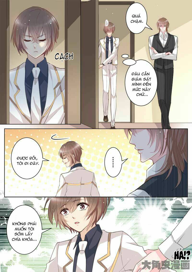 the stars are not luminous body chapter 31 5