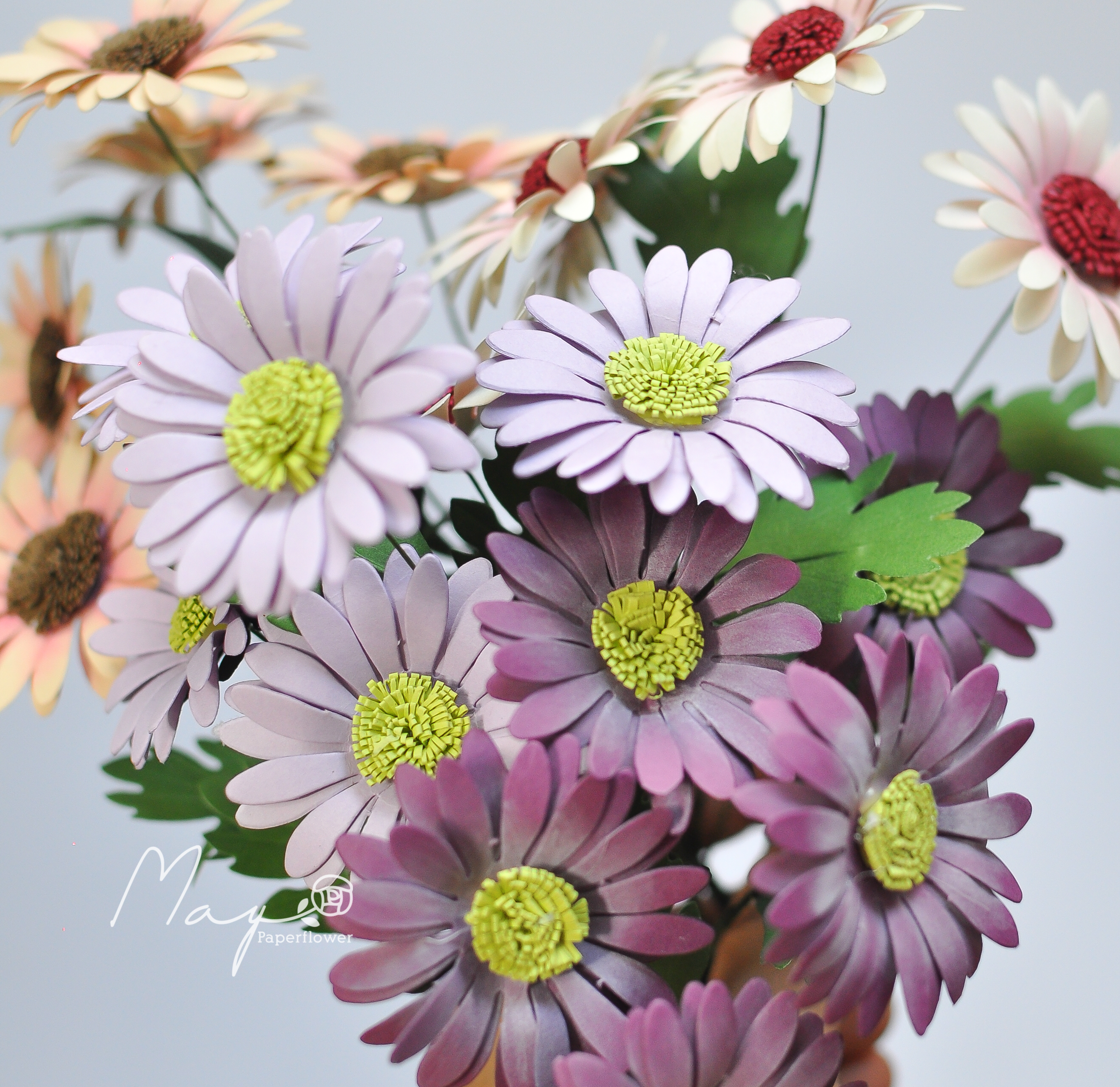 Hoa giấy handmade trang trí, Hoa cúc Daisy nhiều màu, Maypaperflower - hoa giấy nghệ thuật, decor nhà ở, văn phòng