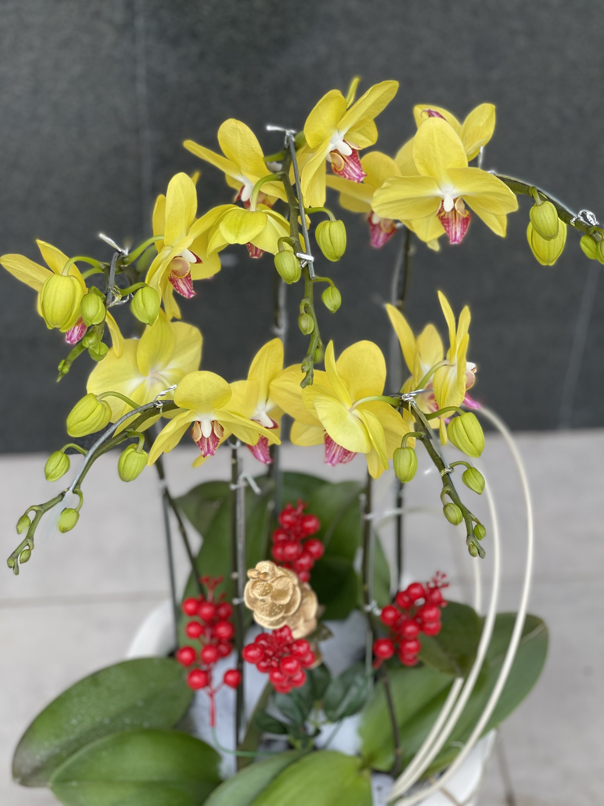 Giá thể trồng lan vỏ thông đá bọt gói 2dm3