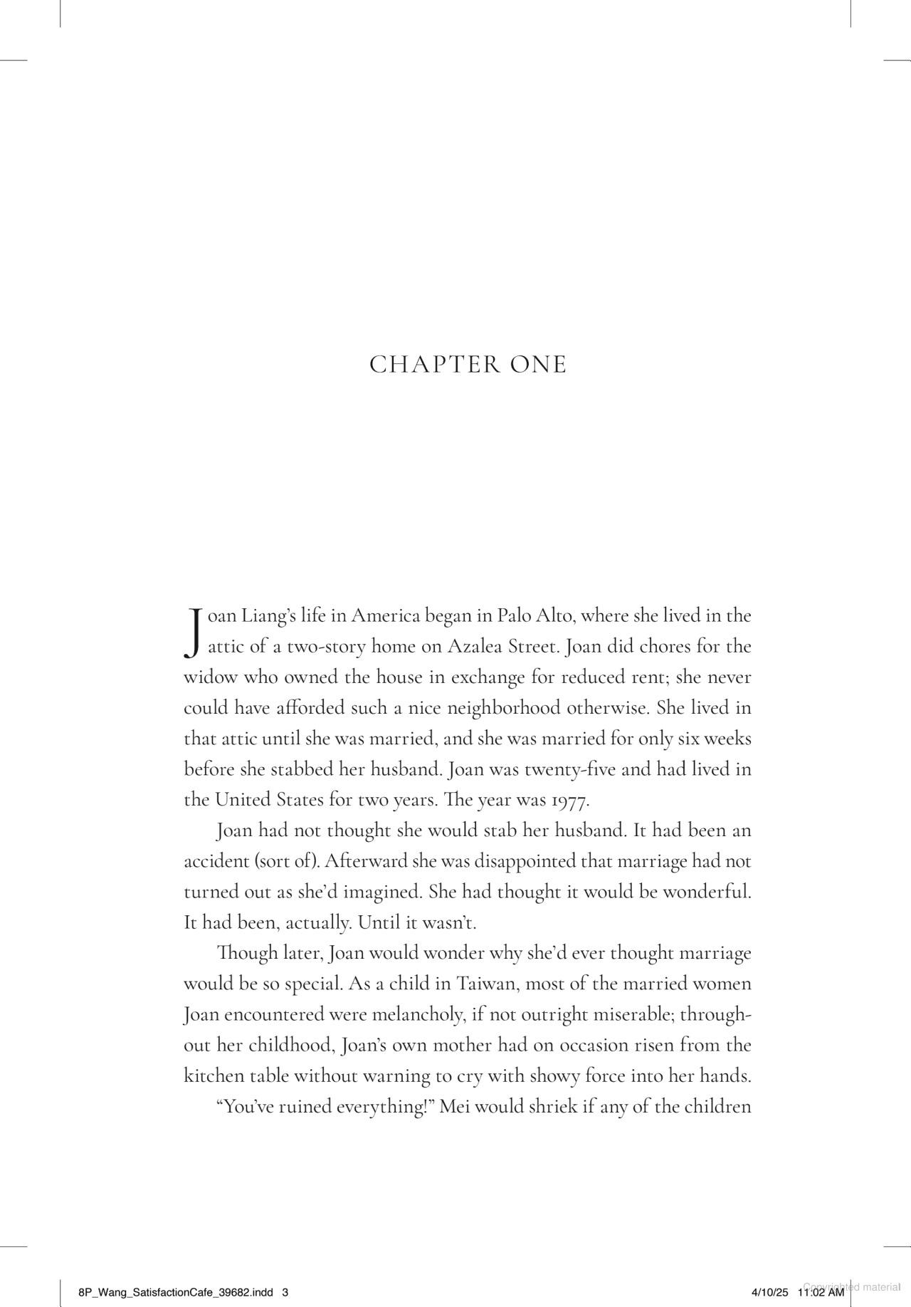 Sách ngoại văn: The Satisfaction Café