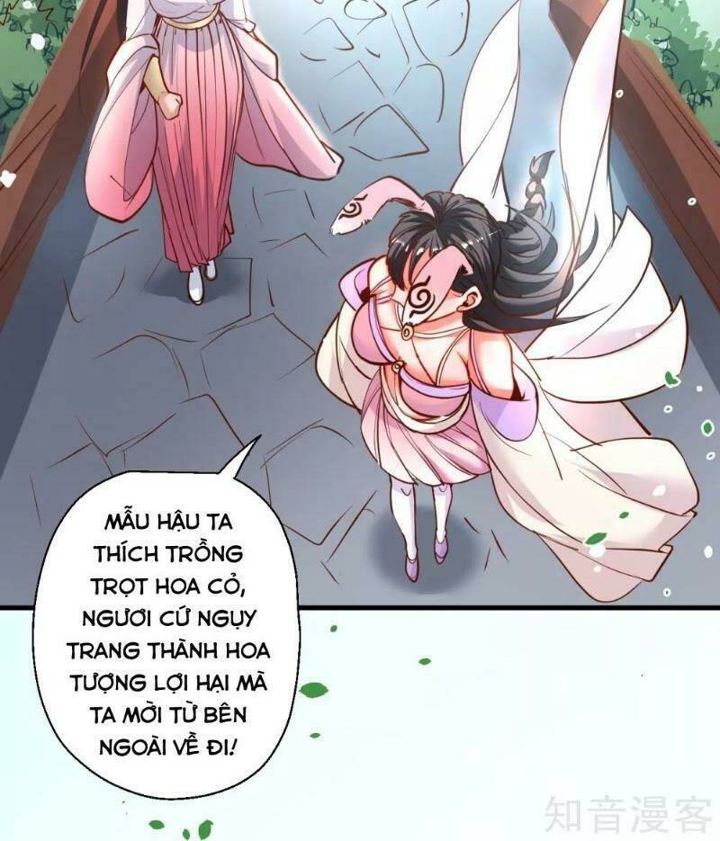 tối cường đại biểu hoàng kim thận chapter 82 27