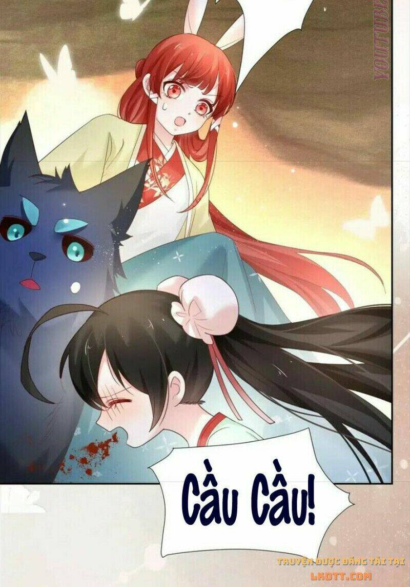 hắc hóa nam chính trực tuyến nuôi thỏ chapter 54 21