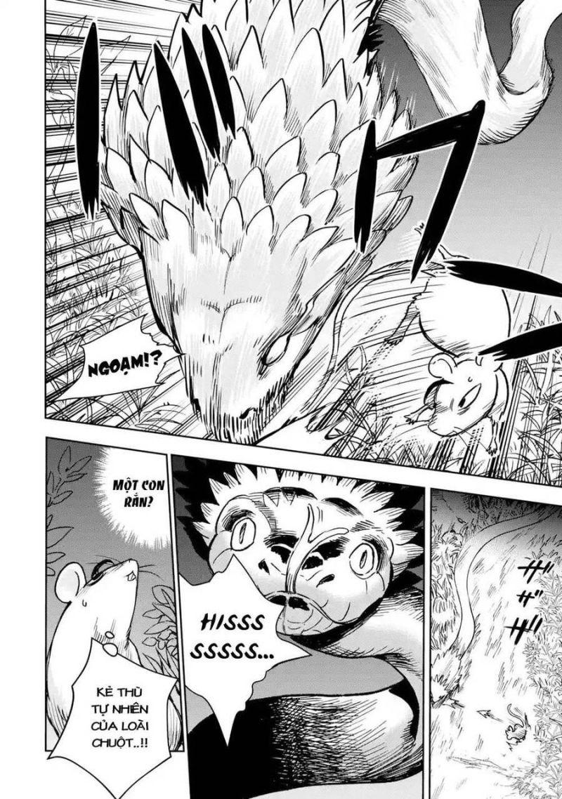 i'm a middle-aged man who got my adventurer license revoked chapter 33 40