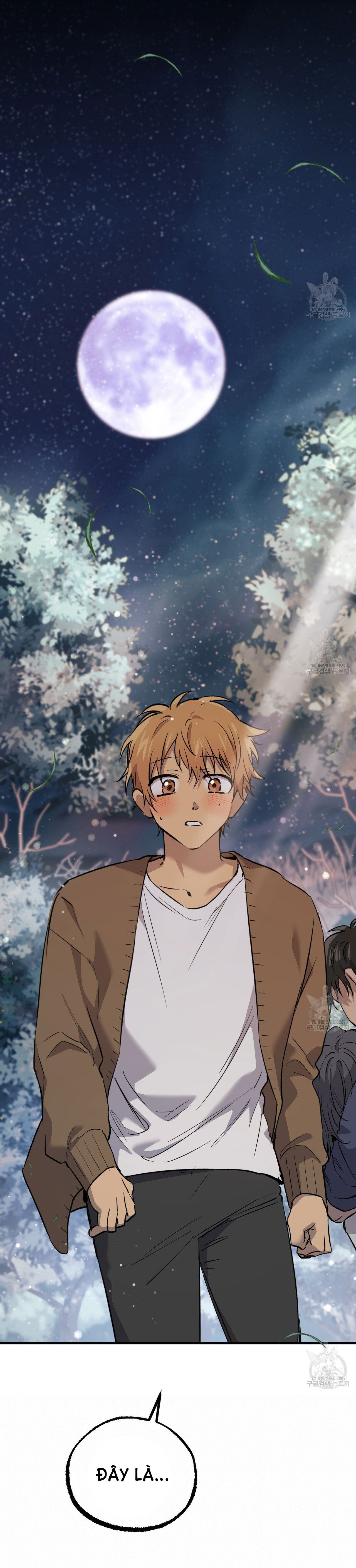 những chú thỏ của hapypy chapter 61.2 37