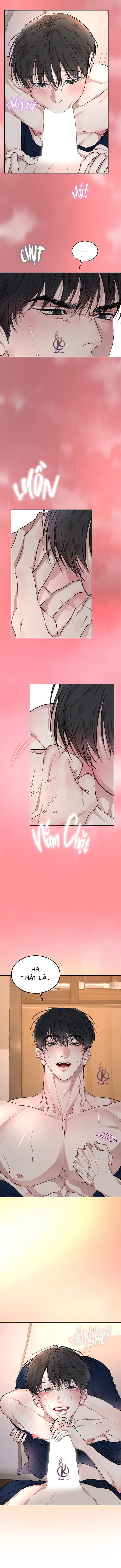 hình thái khởi sinh chapter 73 5