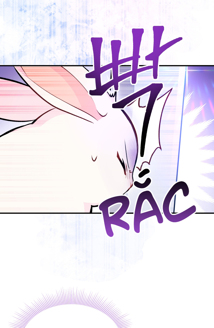 mối liên kết giữa báo đen và bé thỏ chapter 3 69