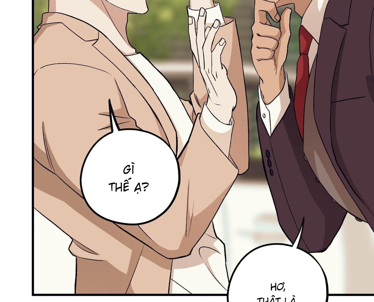 chàng dâu nhà họ kang chapter 48 78