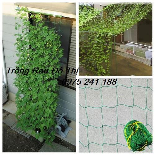 Lưới làm giàn leo 180 x 180cm, ô lưới 10x10cm, mắc 5 phút là xong