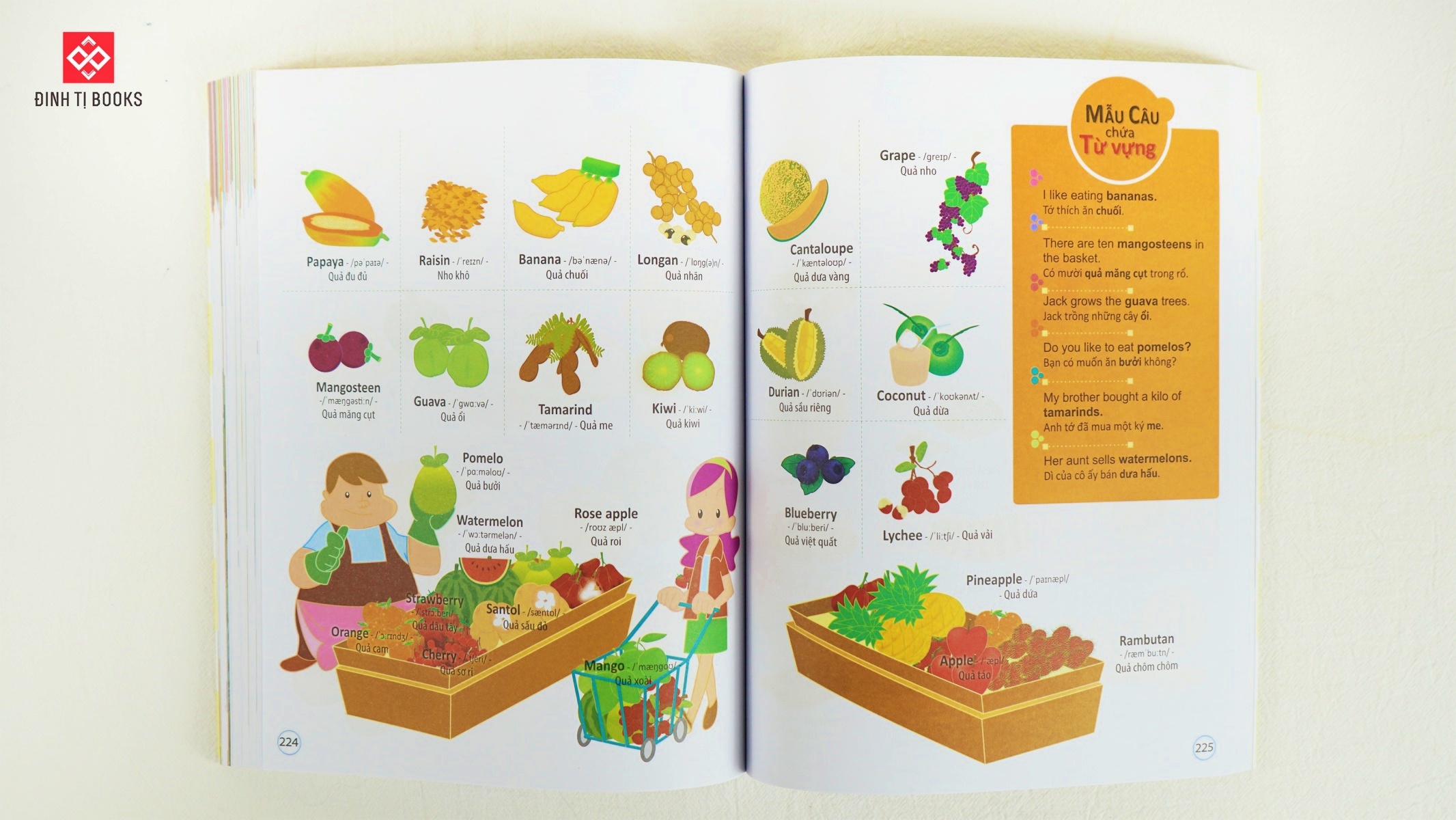 Sách 4000 Từ Vựng và Mẫu Câu Tiếng Anh Thiết Yếu Cho Trẻ Em – Đinh Tị Books
