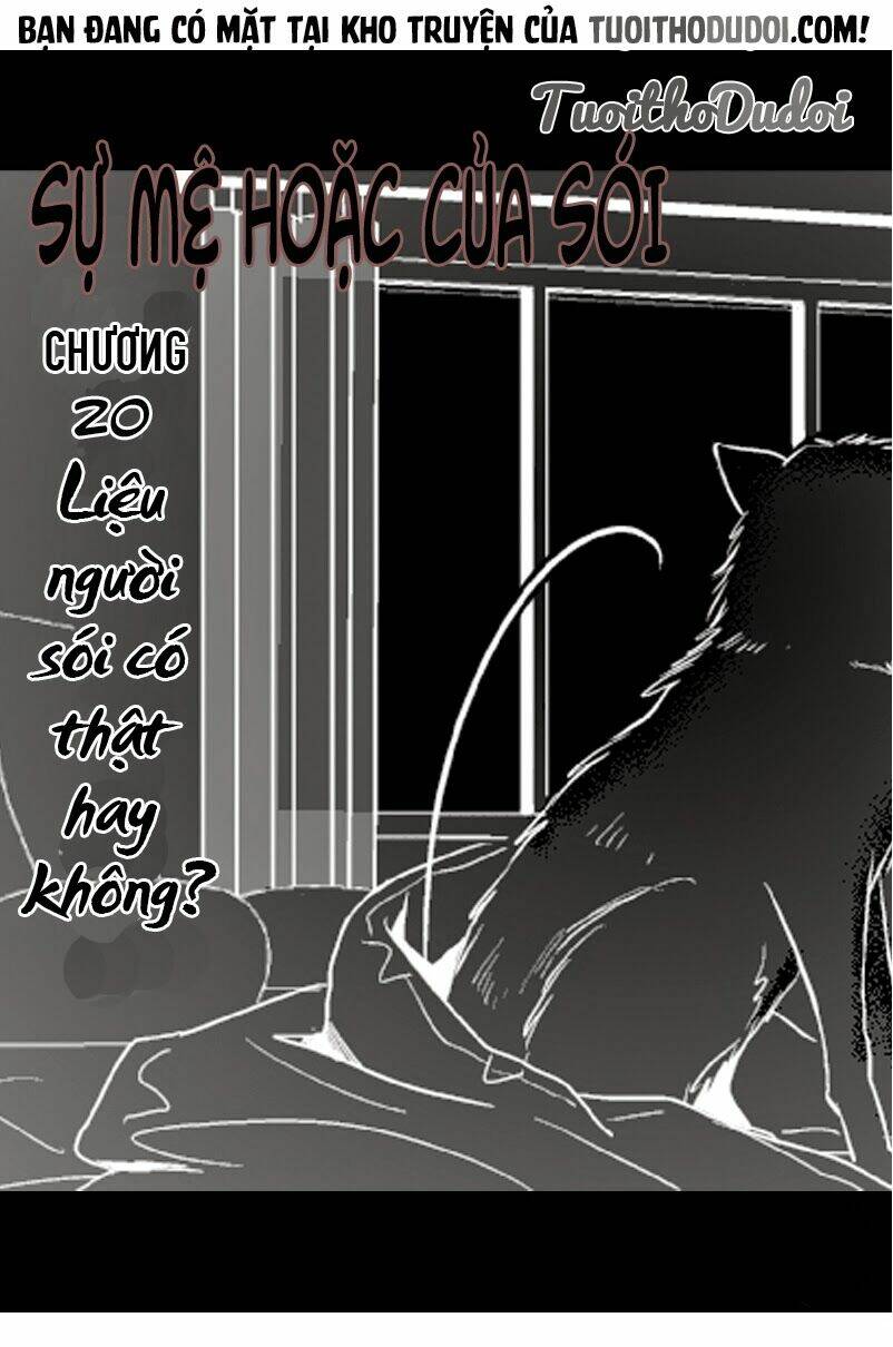 sự mê hoặc của sói chapter 20 1