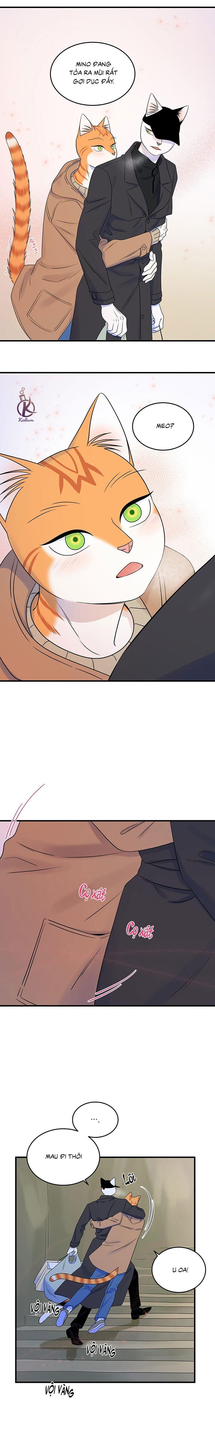 dự án xanh chapter 54 14