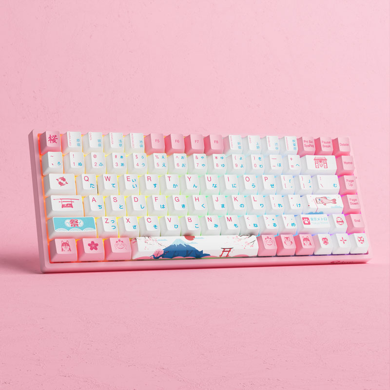 Bàn Phím Cơ Máy Tính Không Dây - AKKO 3084B Plus World Tour Tokyo R2| Bluetooth5.0| Wireless2.4Ghz| Hotswap| LED RGB| Foam Tiêu Âm| AKKO CS Jelly Pink Switch| Chuyên Game| Hàng Chính Hãng