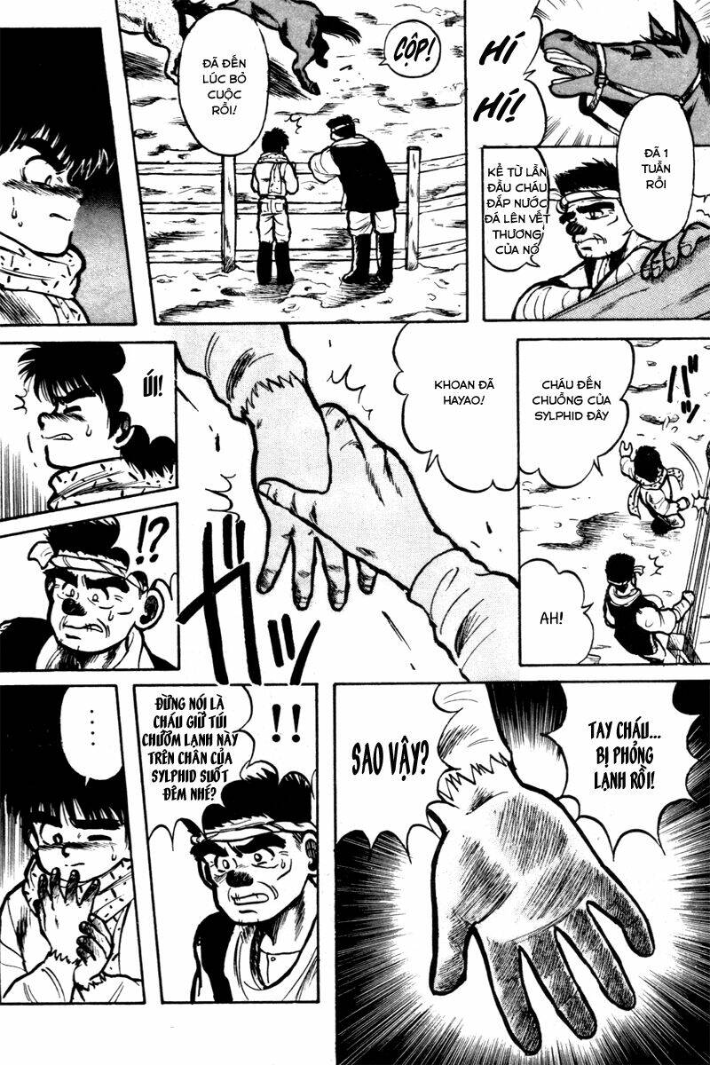 kaze no sylphid - phong mã silphid chapter 3 5