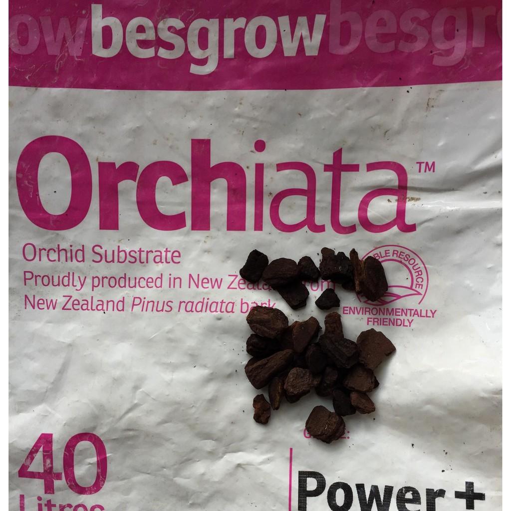 Vỏ thông nhập khẩu Newzealand size 9-12 mm gói 1 kg