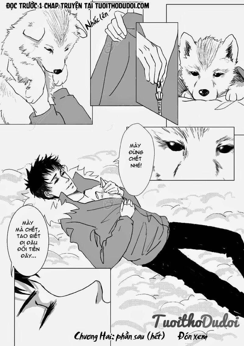 sự mê hoặc của sói chapter 3 7