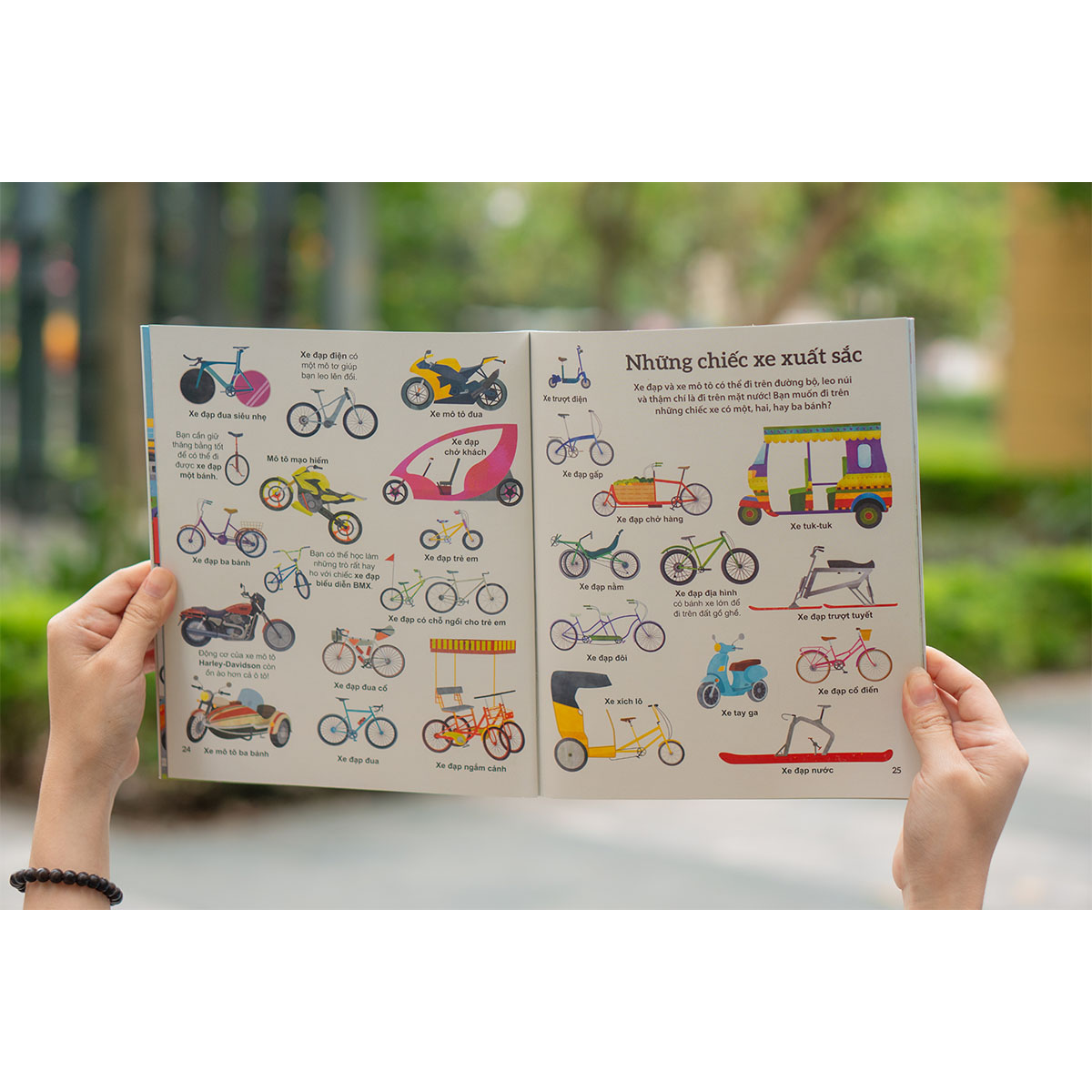 Khám phá các phương tiện vận chuyển trên thế giới - Xe tải và các loại phương tiện có bánh khác