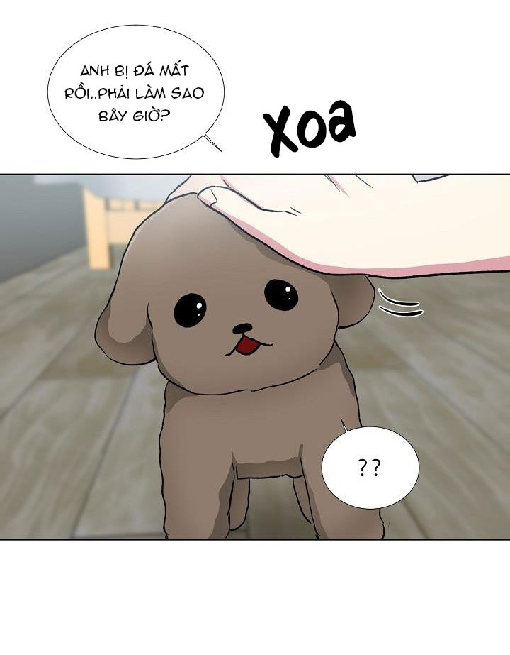 dưới đôi cánh ấy chapter 39 9