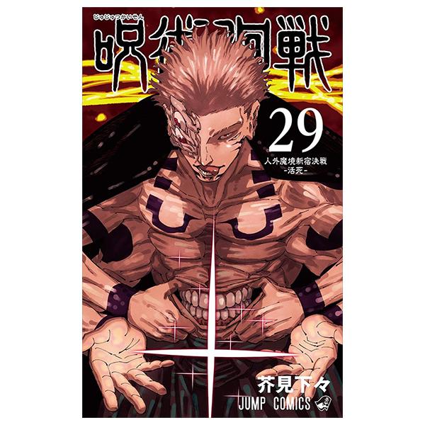Sách ngoại văn: Jujutsu Kaisen 29 (Japanese Edition)
