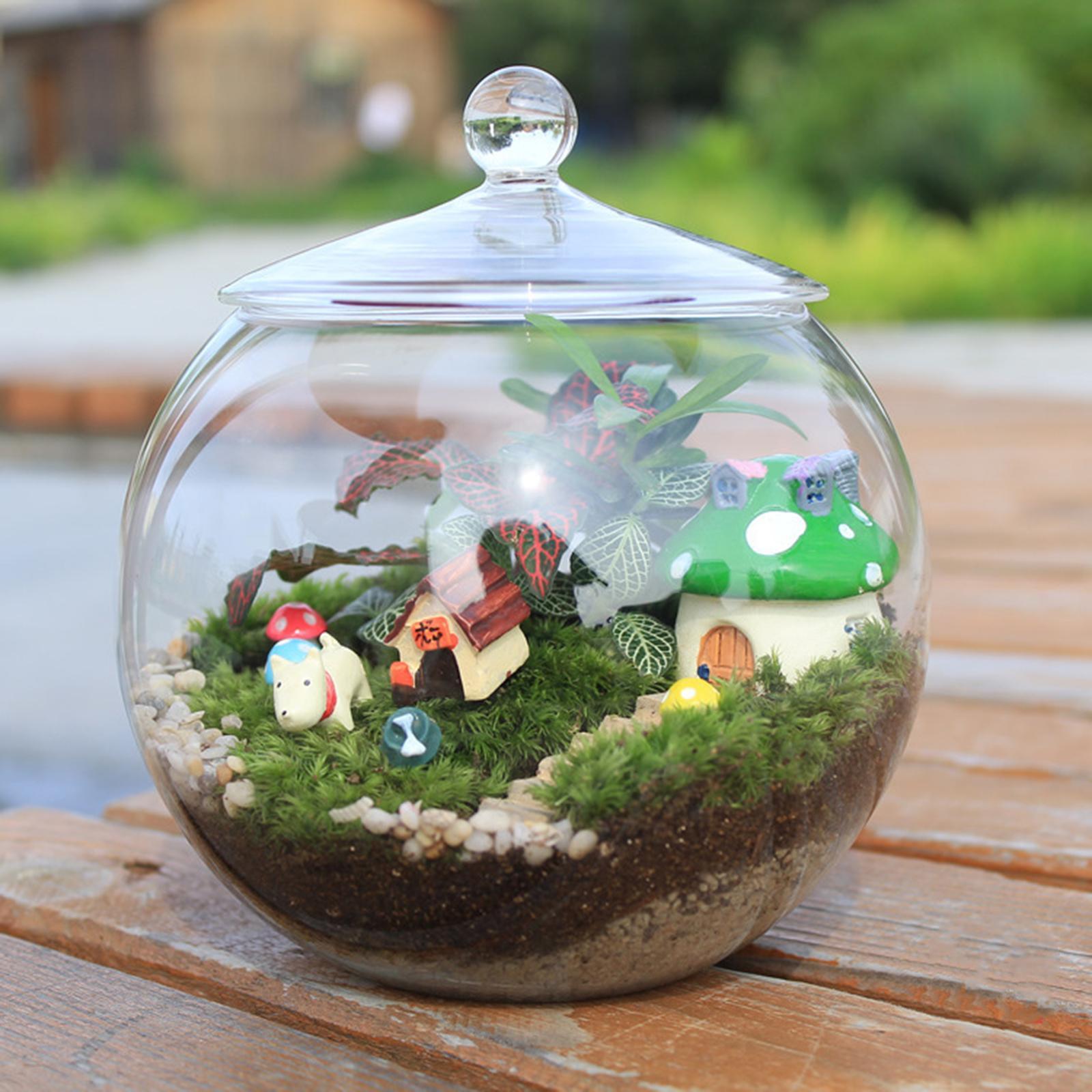 Glass Terrarium, Glass Plant Container, Sealed Storage Jar, Centerpiece Planter Jar Micro Landscape Bottle for Candy Coffee kitchen Nuts