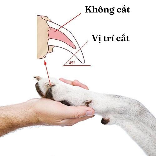 Dụng cụ cắt và dũa móng cho chó mèo- trọn bộ kèm dũa móng