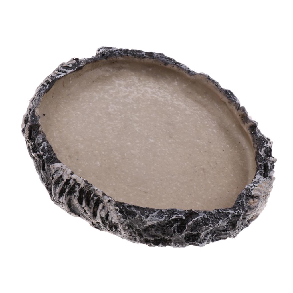 Reptile Vivarium Terrarium Feeding Bowl Tortoise lizard Gecko Tarantula Water Food Worm Feeder Basin Shaped