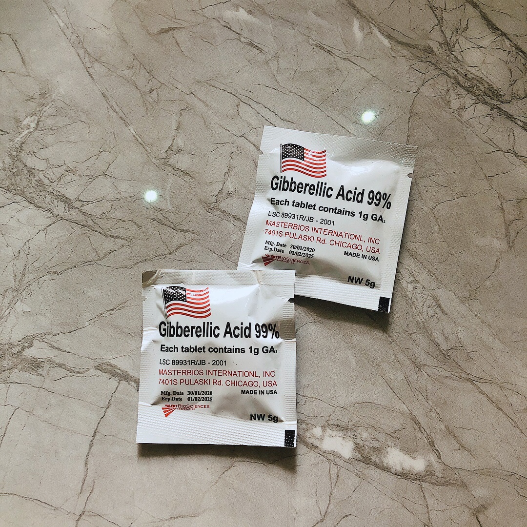 Phân bón thúc đẩy ra hoa ra tán Gibberellic Acid MỸ