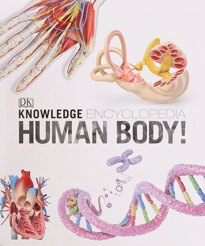 Knowledge Encyclopedia Human Body!