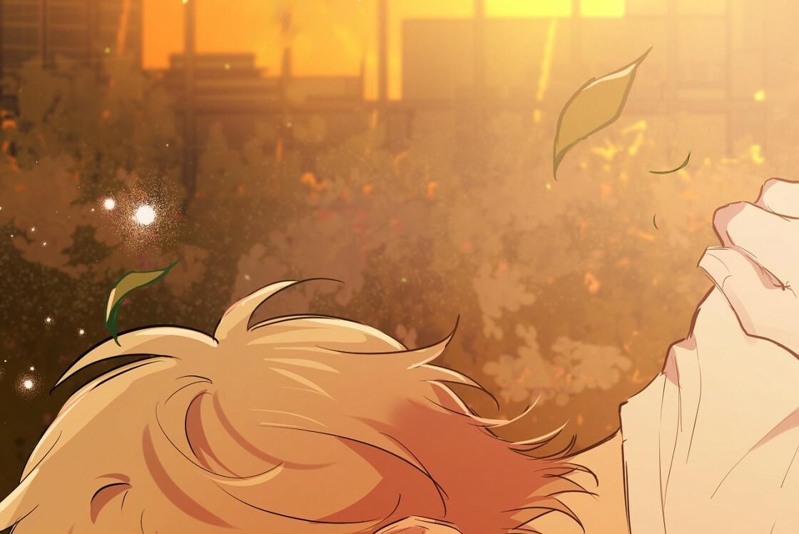 đàn thỏ của habibi chapter 24 27