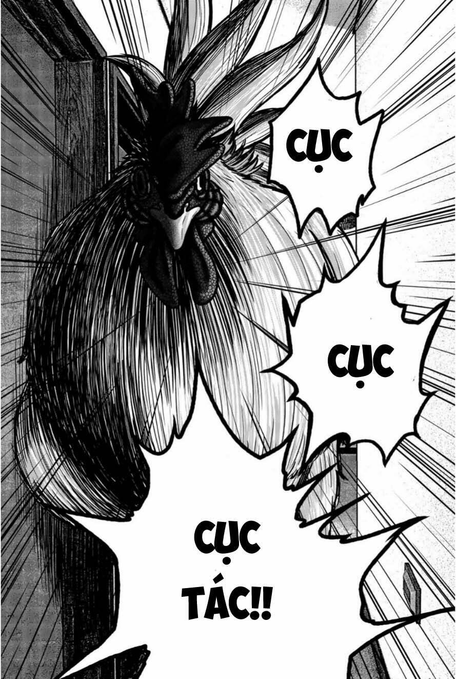 tiếng gáy sát thủ chapter 12 17
