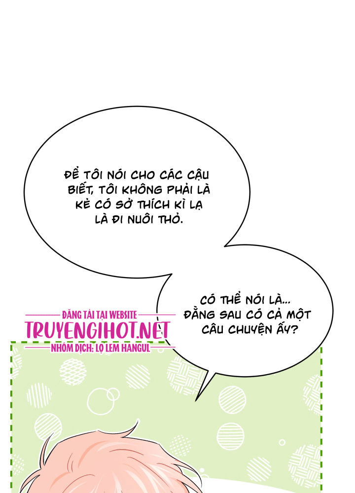 mối liên kết giữa báo đen và bé thỏ chapter 33 25