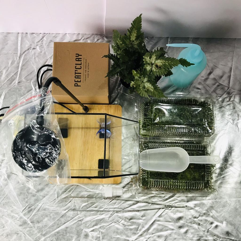COMBO TỰ SETUP 1 CHIẾC BỂ TERRARIUM PHONG CÁCH FOREST ĐƠN GIẢN