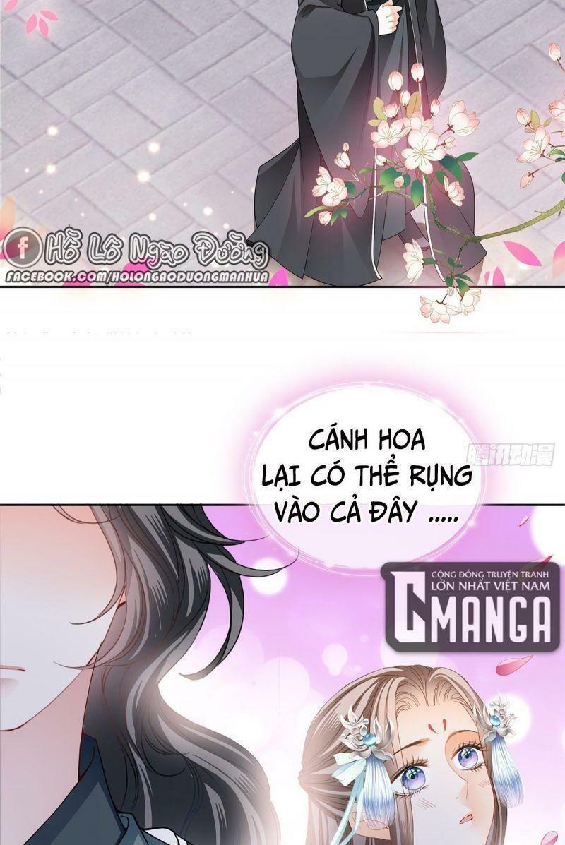 bổn vương muốn nàng chapter 31 5