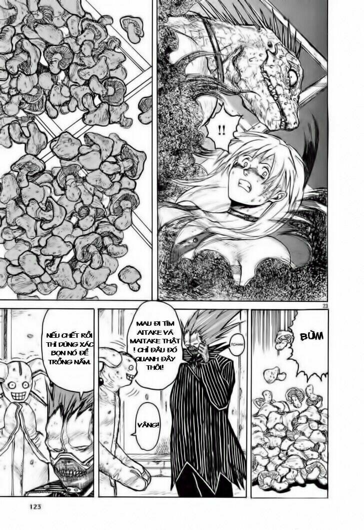 thế giới ma thuật và kẻ mất trí chapter 5 23