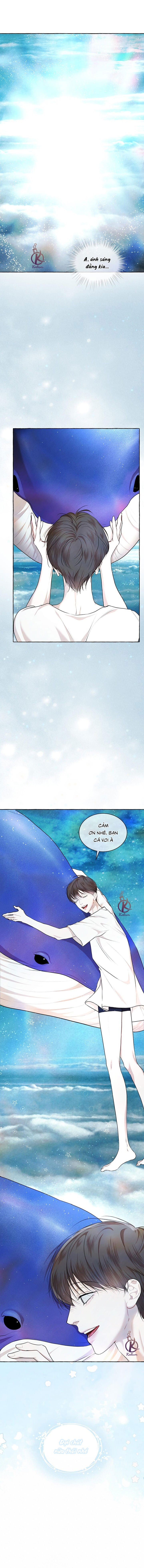 hình thái khởi sinh chapter 76 11