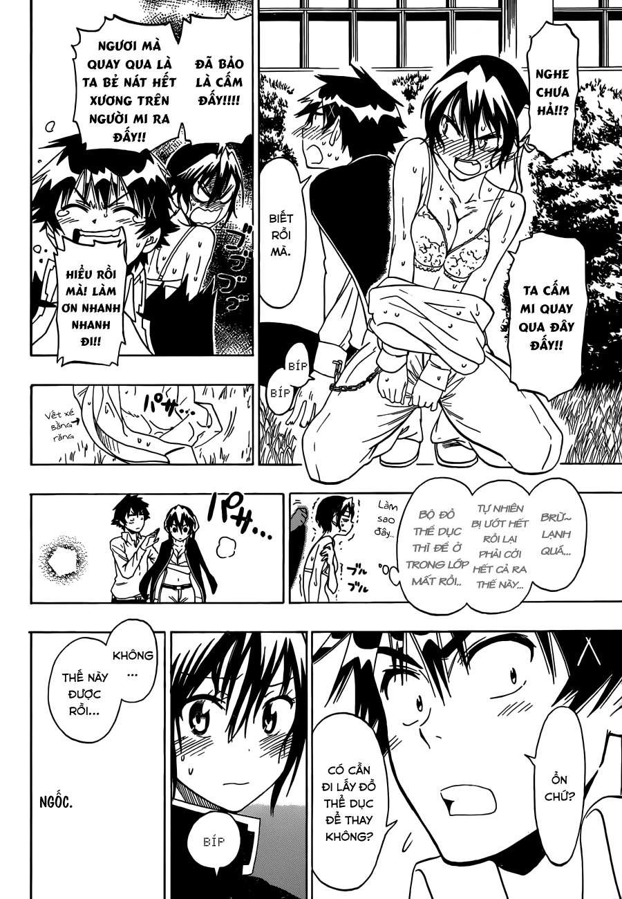 nisekoi - tình yêu giả tạo chapter 70 15