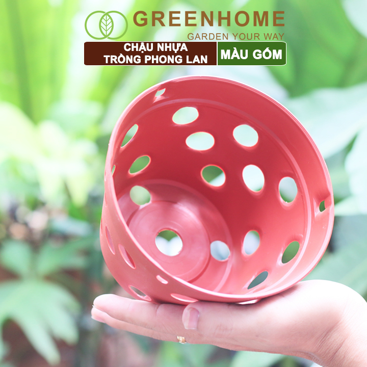 Chậu nhựa trồng phong lan, R15xC10cm, màu gốm, bền, đẹp, chống rơi vỡ, giá thành tốt |Greenhome