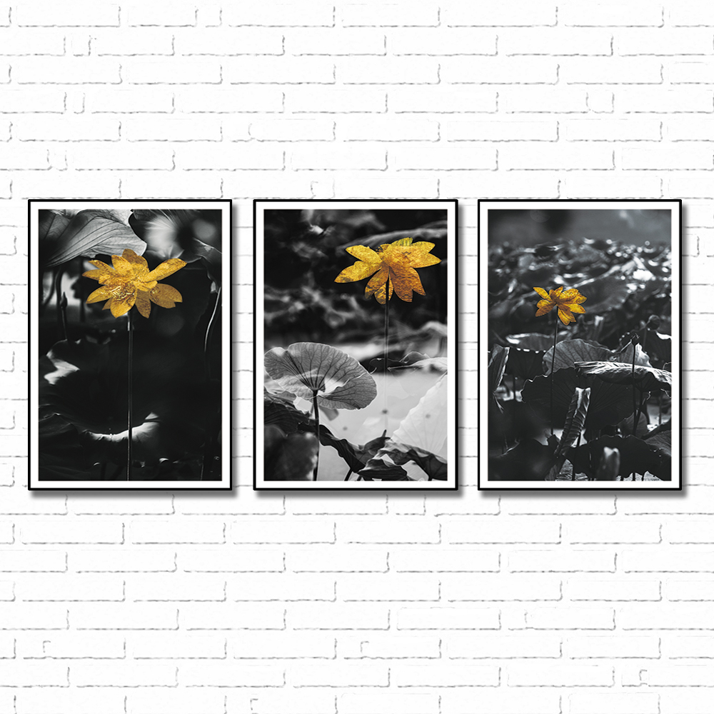 Bộ 10 Tranh Canvas
